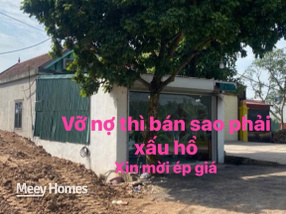 Bán gấp lô đất vàng tặng nhà mặt đường 382 - kinh doanh cực đỉnh