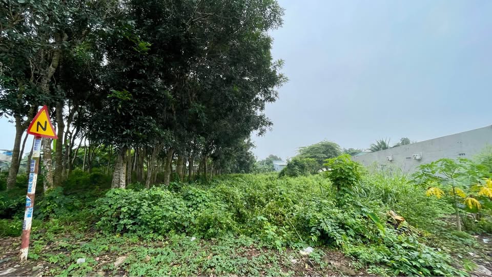 Đất Kim Long 1.381m2, mặt tiền 25m, giá 3.8 tỷ - Sổ đỏ sẵn sàng, dân cư đông đúc