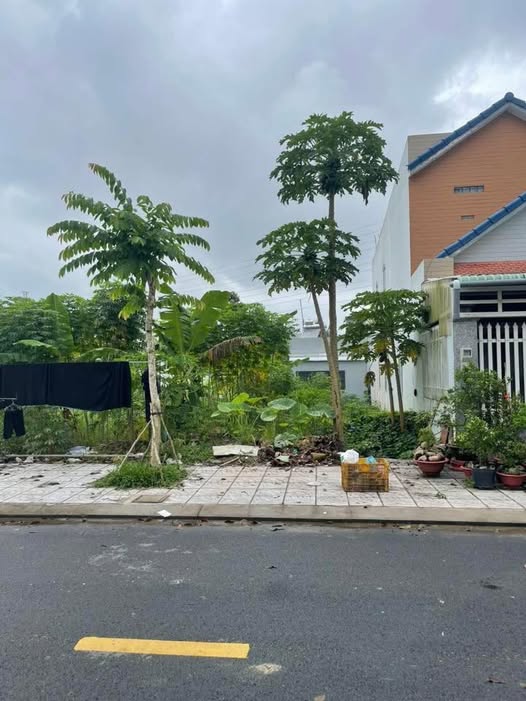 Đất thổ cư 100% tại Cần Thơ, sẵn sàng xây nhà mơ ước