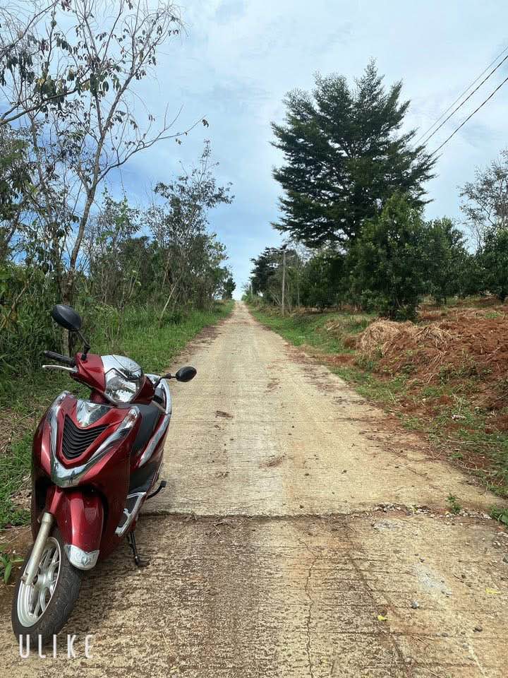 Đất Gia Nghĩa 1 sào đất làm nhà vườn, giá chỉ 285 triệu/lô, sổ sách đầy đủ