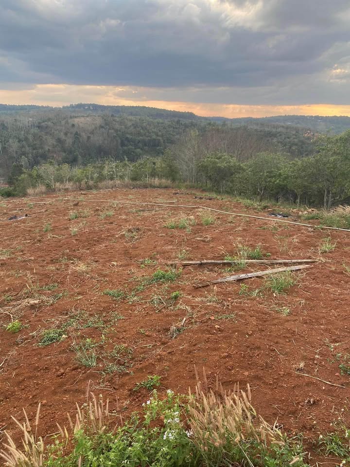 Đất Đắk Nông 79m2, 6km đến trung tâm Gia Nghĩa, đầu tư sinh lời