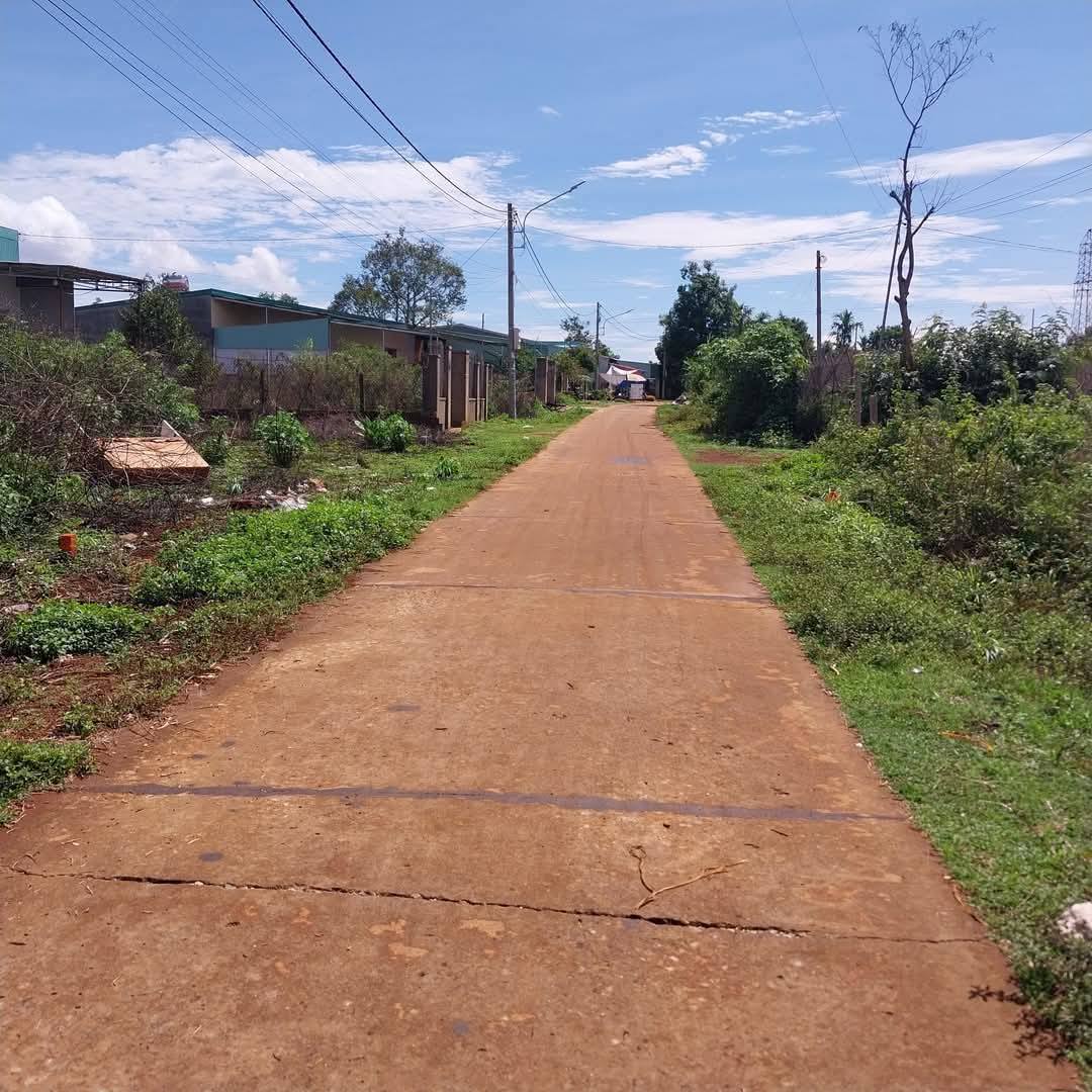 Mặt tiền Trương Vĩnh Ký, Biển Hồ, diện tích 5mx35m, hướng Đông Nam, giá tốt