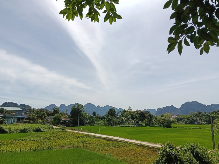 Bán đất Kim Bôi, Hòa Bình 2337m² có suối, ao cá, view đồng, bám đường bê tông