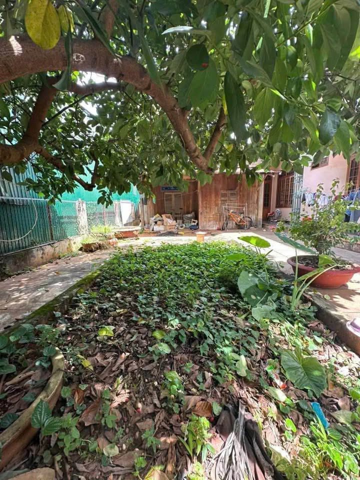 Bán đất đẹp 5.5x30m, hẻm thông 2 ô tô tránh, gần Eco Palace