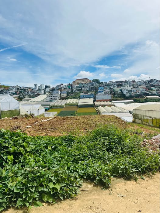 Lô biệt thự song diện view thoáng – Nơi an yên giữa lòng Đà Lạt