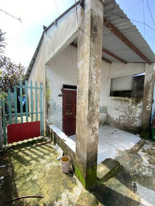 Kiệt Trẩn Đình Tri đất 110m2 tặng kèm nhà cấp 4 xinh xinh, giá hời