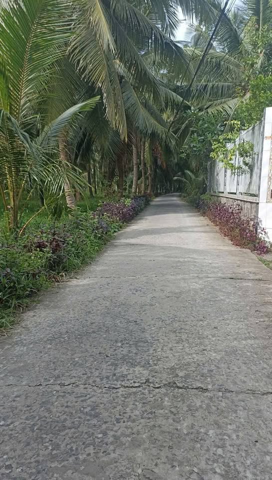 Đất mặt tiền ô tô 1,500m2, ngang 21m, giá 1,9 tỷ, mua nhanh tay kẻo lỡ