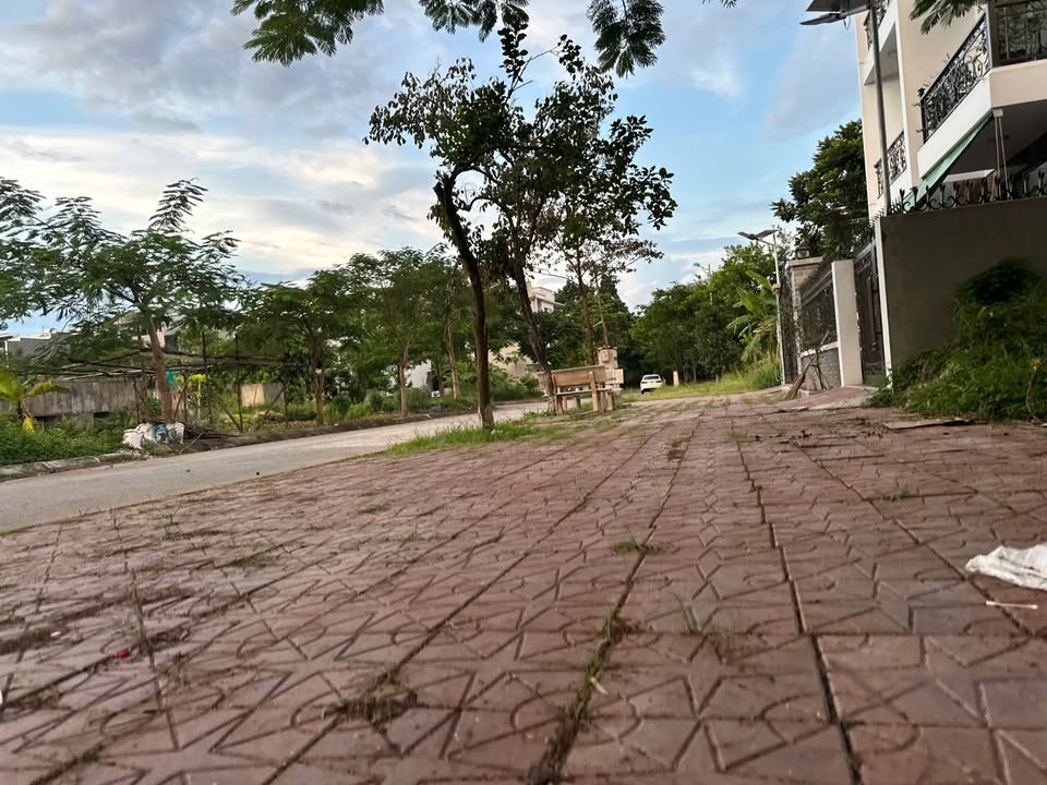 Bán đất Nam Đầm Vạc, Vĩnh Yên 200m2, mặt tiền 12.5m, đường 18m vỉa hè