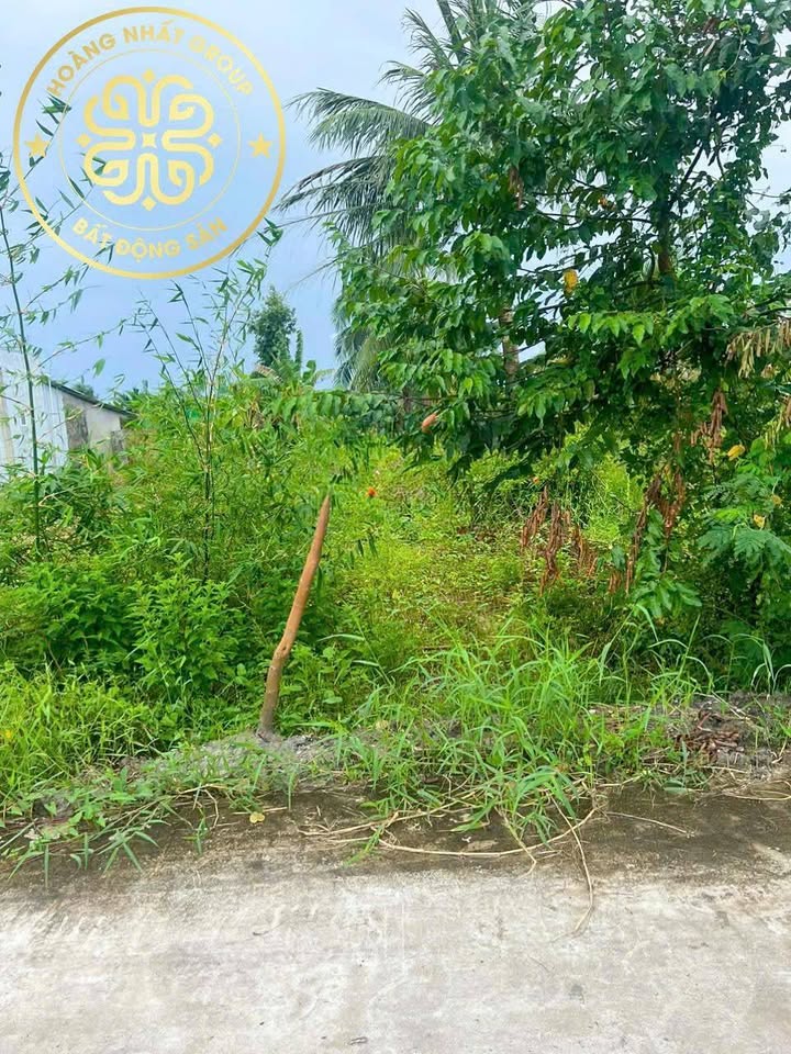 An Xuyên - Nền đất lý tưởng cho nhà vườn, homestay, đầu tư sinh lời