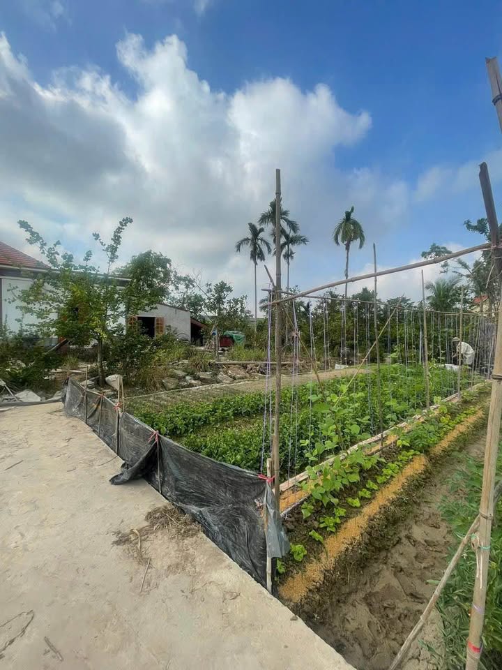 Cơ hội có một không hai tại Kiều Hạ 2, huyện An Dương, thành phố Hải Phòng