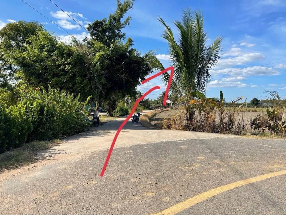 Đất nền, mặt tiền 5m, sổ hồng sẵn sàng tại Thạnh Lợi, Tây Ninh