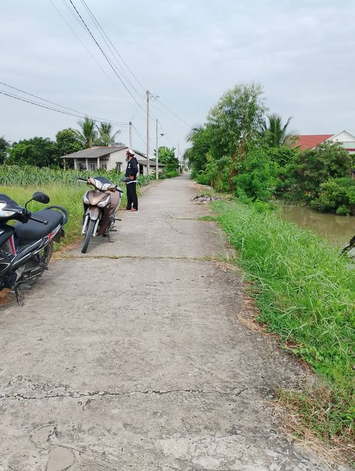 Mảnh đất lúa rộng 1000m2 đang chờ chủ nhân mới tại Ấp 5, Xã Tầm Vu, Châu Thành, Long An