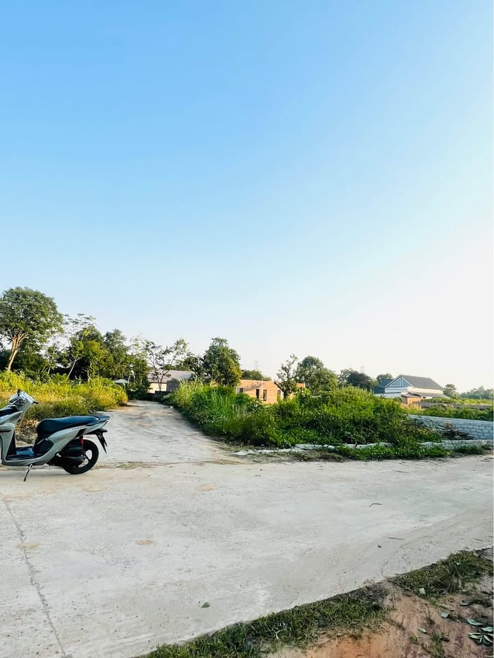 Cơ hội sở hữu lô đất đẹp tại Thị trấn Kim Long, huyện Tam Dương, tỉnh Vĩnh Phúc với diện tích hơn 135m²