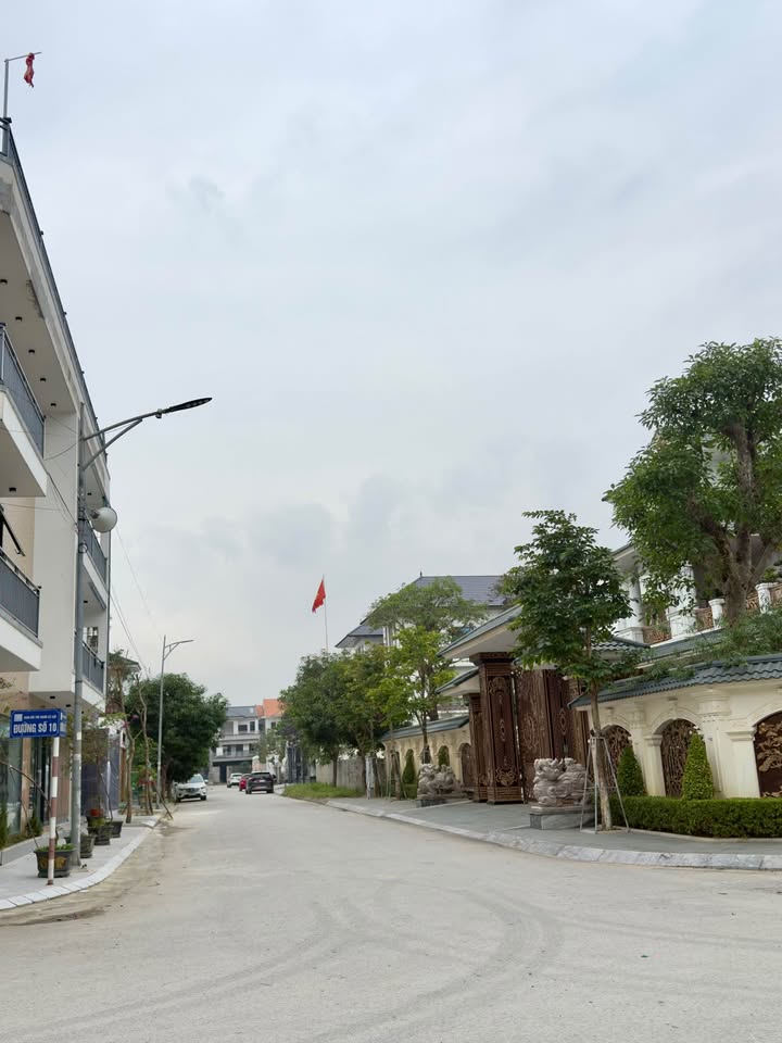 Siêu phẩm đất nền tiềm năng tại dự án Nam Lê Lợi, phường Thành Vinh