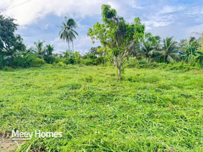 Sở hữu nền thổ cư Cà Mau chỉ với 100 triệu đồng