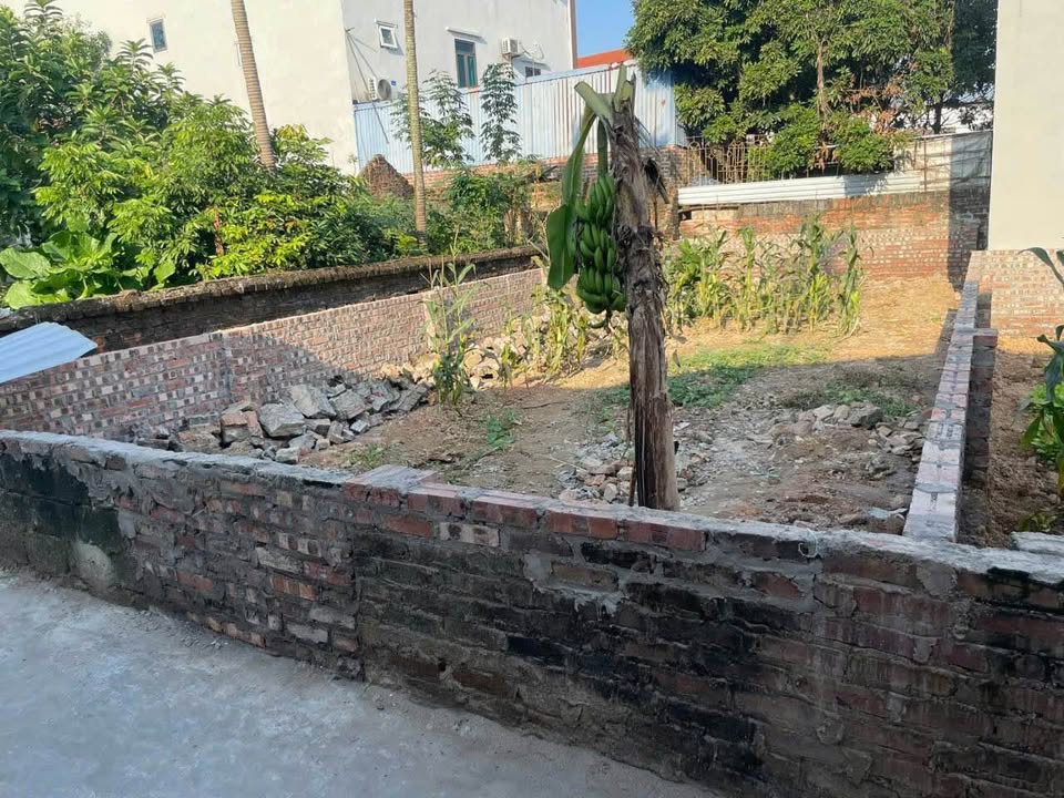 Đất tại Yên Ninh, Hiền Ninh, Sóc Sơn, Hà Nội, là một lựa chọn lý tưởng