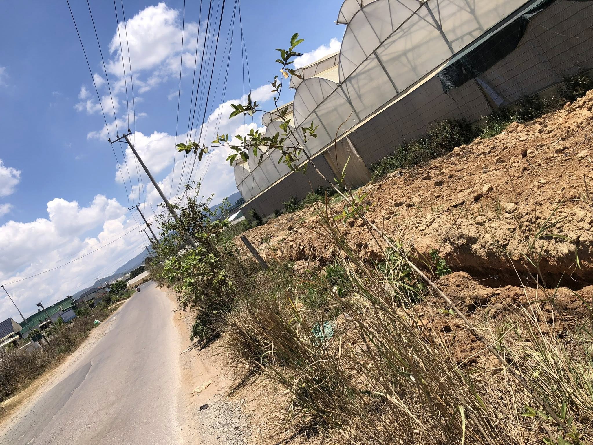 Đất vàng mặt tiền đường nhựa Đơn Dương, kinh doanh đỉnh, an cư lạc nghiệp