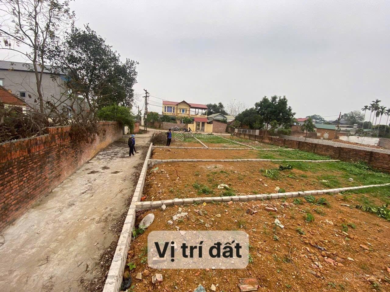 Bán đất tại Xã Lại Thượng, Thạch Thất, Hà Nội, 1,65 tỷ, 63m2, uy tí, 1,65 tỷ, 63m2, uy tín chỉ với