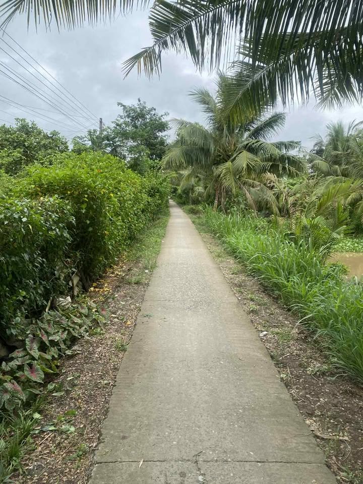 Siêu phẩm đất nền ấp Kênh Xăng, Hòa Lợi, Vĩnh Long đây rồi