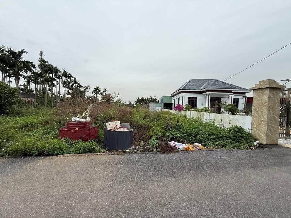 Bán đất tổ dân phố Bình Minh, 330m2, mặt tiền 12m, đường 6m, hơn 2 tỷ