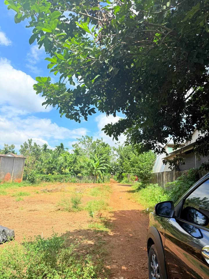 Đất khu dân cư Buôn Ma Thuột, đầu tư sinh lời