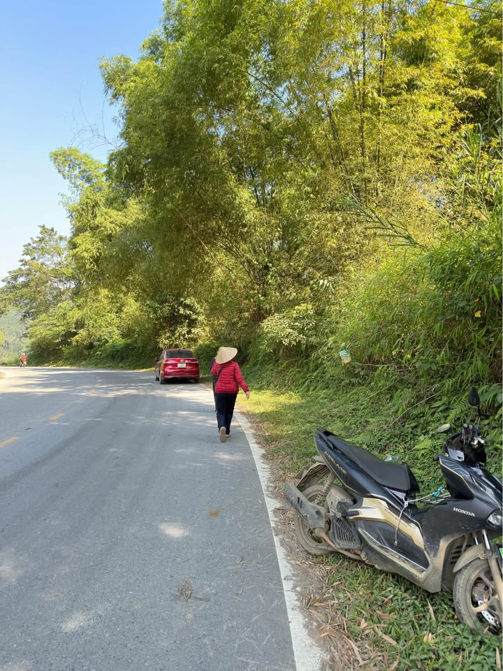 Bán gấp trang trại gần 1ha mặt đường đẹp tại thôn Hẻo Trang, Tả Phời