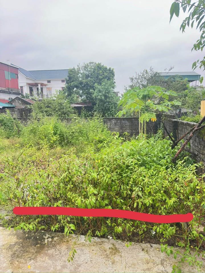 Đất Ninh Sơn - 47m2, mặt tiền 6.2m, hướng Đông, giá chỉ từ 1 tỷ