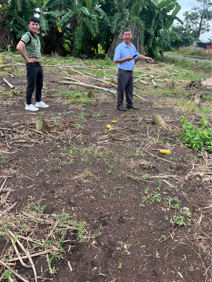 Bán đất trung tâm Suối Nghệ, Châu Đức, nơi an cư lý tưởng