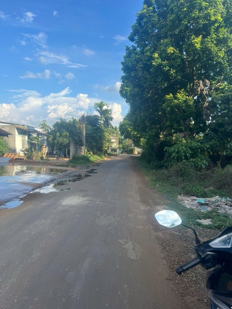 Siêu phẩm nhà yến kinh doanh cực tốt đang chờ chủ nhân mới