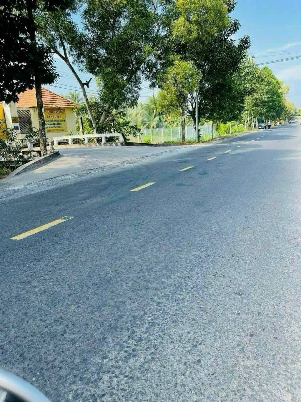 Bán đất tại Hữu Định - Vĩnh Long, 1000m² vườn dừa xanh mướt, cơ hội vàng cho an cư, đầu tư