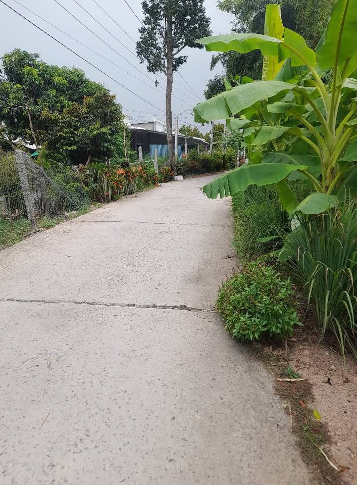 Siêu phẩm đất nền Long Hậu, Lai Vung, Đồng Tháp đang chờ chủ mớ