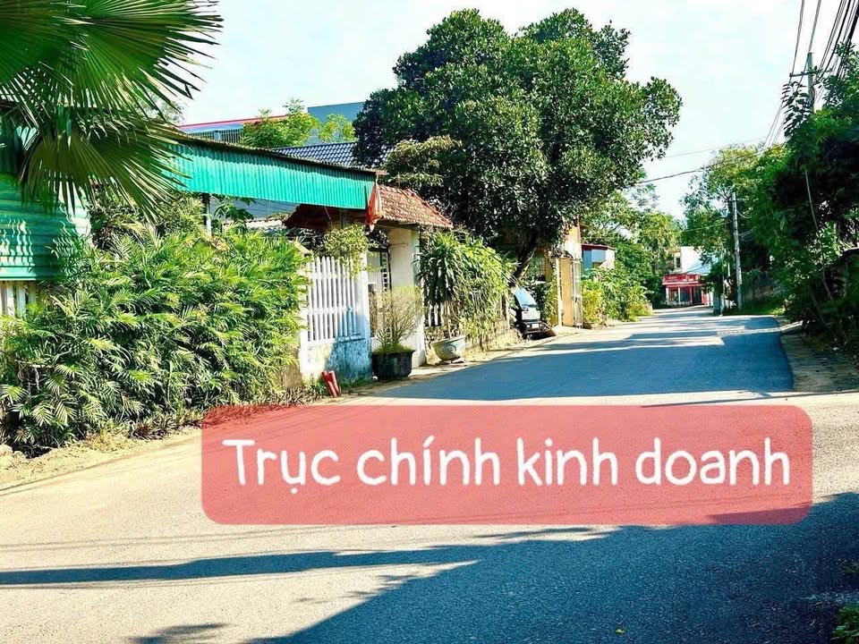 Bán đất 100m2 mặt tiền 5m, trục chính kinh doanh Hương Ngọc - Bình Xuyên, Vĩnh Phúc