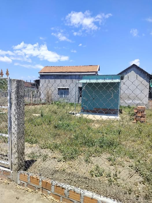 Bán đất 300m2 tại thôn Hòa Phong, Bình Định