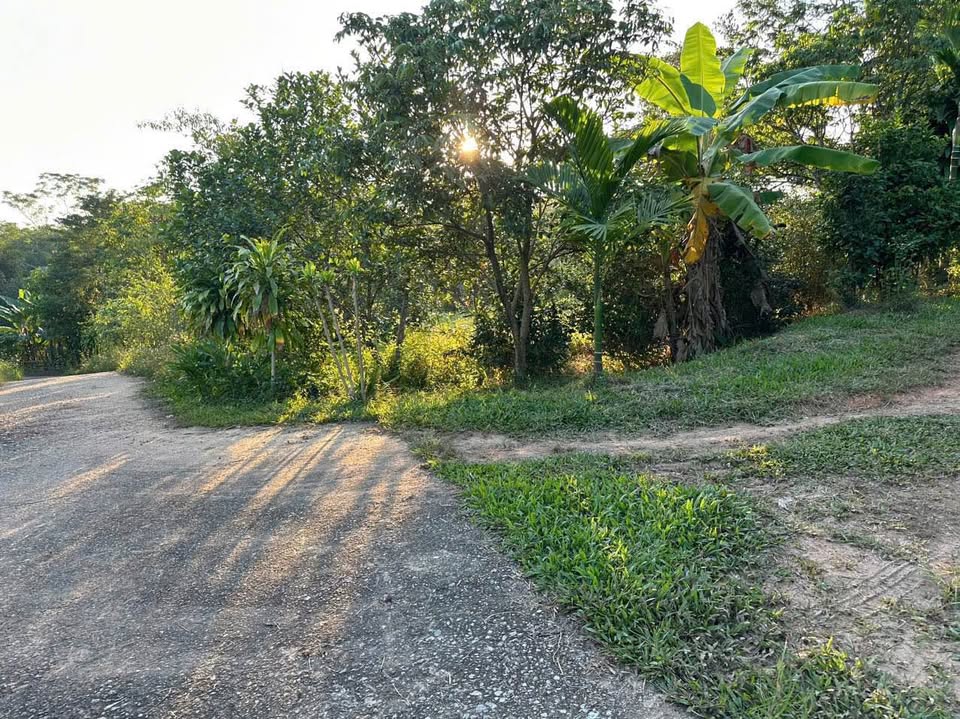 Đất Thái Nguyên gần đường 36m, mặt tiền 14m, thích hợp xây nhà vườn, đầu tư