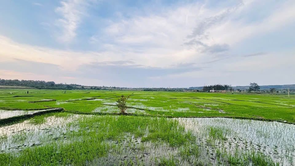 Komleo: Siêu phẩm nhà vườn 2250m2, mặt tiền 35m, view đồi ruộng, giá chỉ 8.686 tỷ