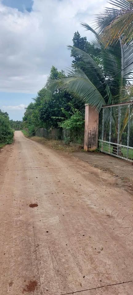 Bán đất mặt tiền Đỗ Xuân Hợp nối dài, Đắk Lắk - 12.5x41m, giá 1,05 tỷ