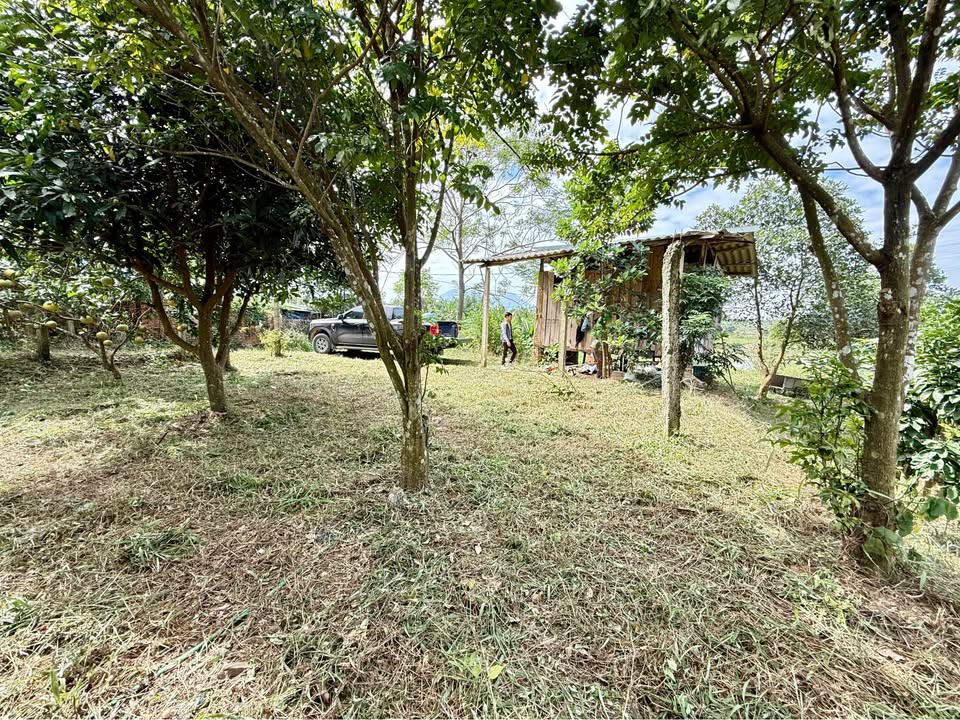 Bạn đang mơ về một cuộc sống an yên, tách biệt khỏi sự ồn ào phố thị