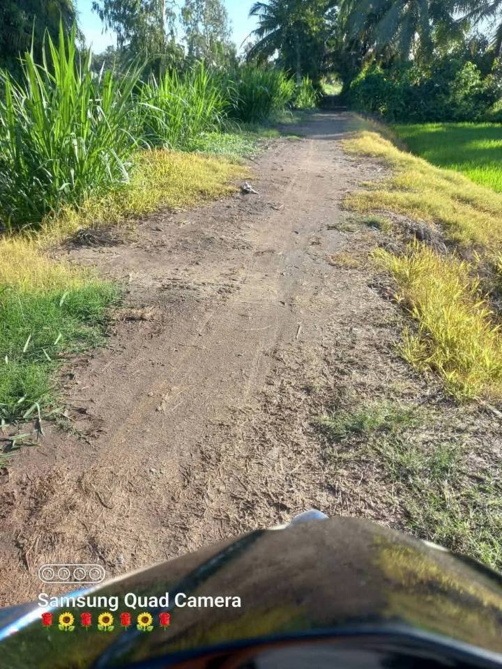 Bán 7675m2 đất ruộng có nền sẵn, mặt tiền 30m tại Trà Cú, Trà Vinh