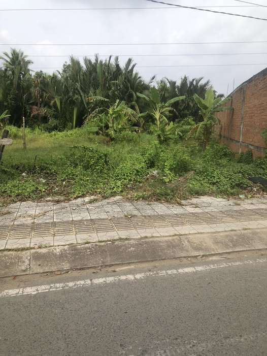 Mặt tiền đường Trương Vĩnh Trọng, Giồng Trôm, Bến Tre, vị trí đắc địa kinh doanh