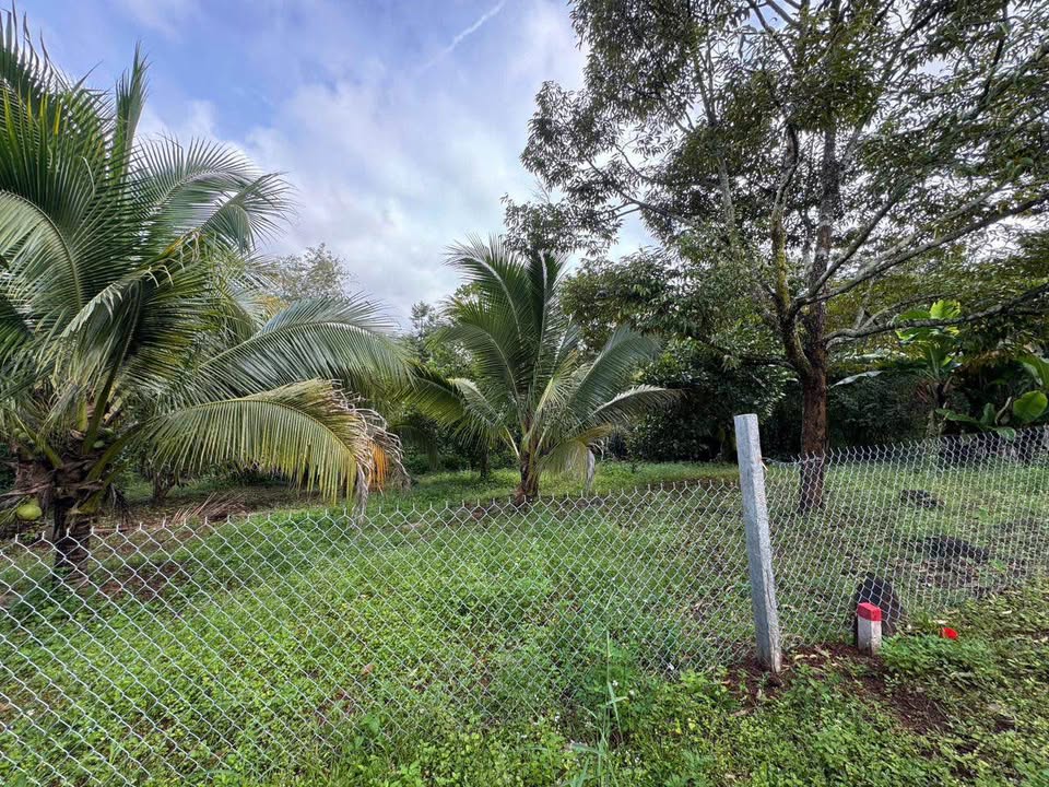 Bán đất vườn rộng 900m² mặt tiền Đỗ Xuân Hợp nối dài, Đắk Lắk