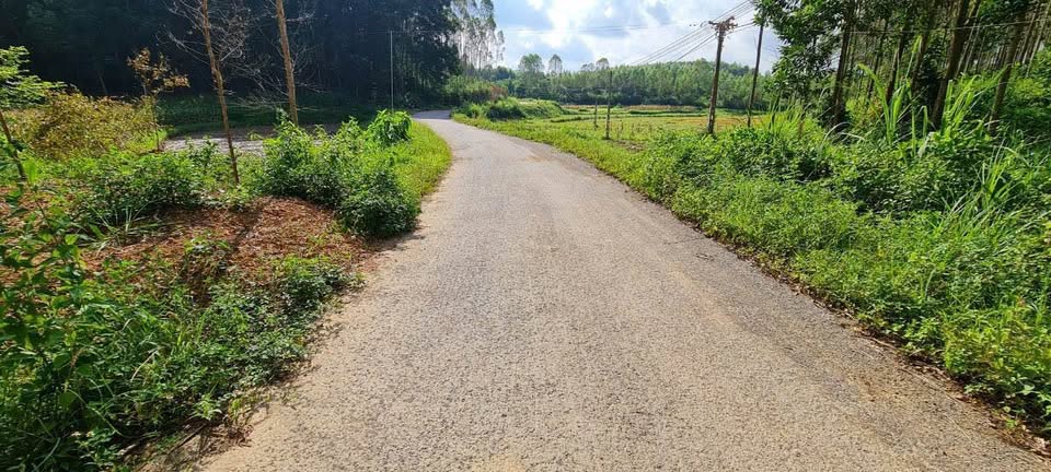 Siêu phẩm đất nền rộng tới 3300m2 tọa lạc tại vị trí đắc địa thuộc Yên Thế - Bắc Giang