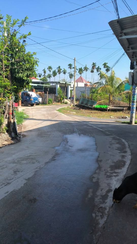 Đất vàng mặt tiền đường Sao Vàng, đầu tư sinh lời, an cư lạc nghiệp tại Mỹ Hạnh