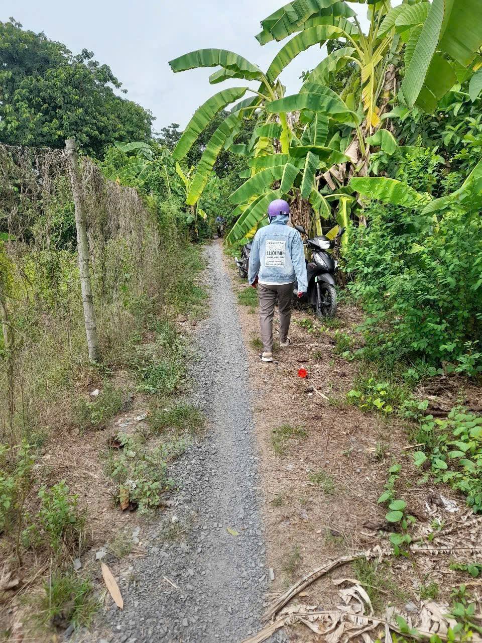 Bán đất vườn 700m2, mặt tiền 44m, giá 280 triệu tại Lai Vung, Đồng Tháp