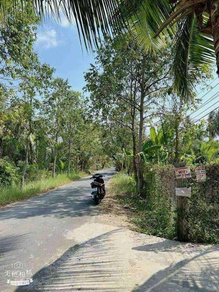 Đất vàng Bến Tre 2 mặt tiền lộ nhựa, sổ sẵn, giá chỉ 550 triệu