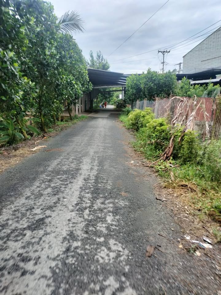 Bán đất nền mặt tiền đường nhựa kênh 2,9, xã Bình Thành, Đồng Tháp thoáng mát, giá tốt