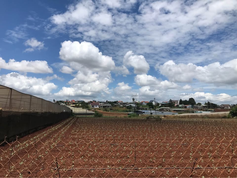 Chào bạn, mình đang có một lô đất tuyệt đẹp tại Suối Thông, Đơn Dương, Lâm Đồng