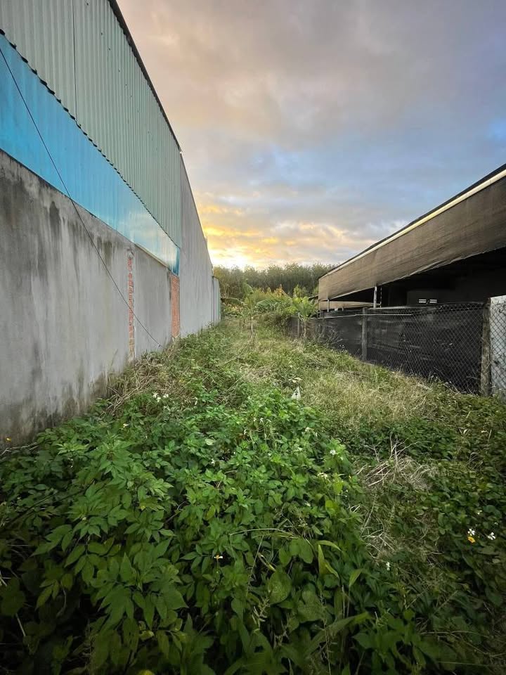 Bán đất mặt đường Trần Đại Nghĩa, phường Nguyễn Trãi, thành phố Kon Tum