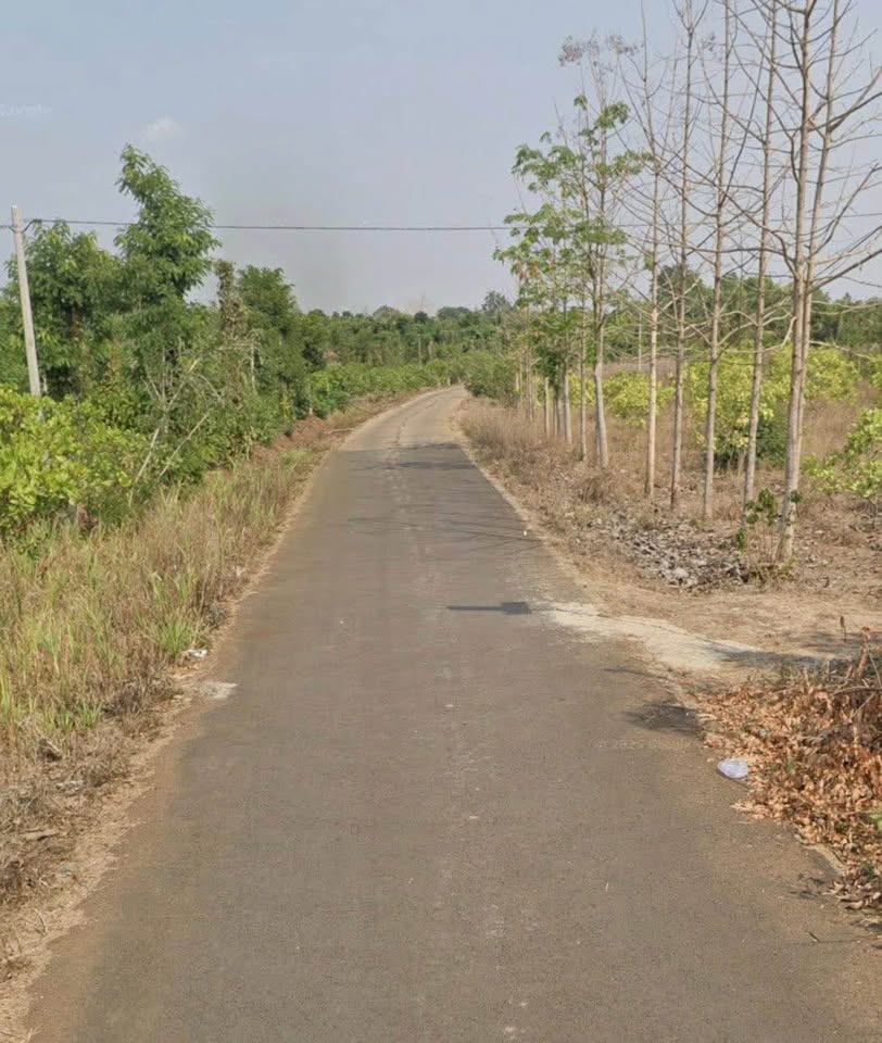 Bán 3 sào đất view suối tại Buôn Ma Thuột, giá chỉ 560 triệu