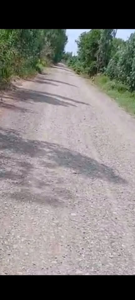 Đất Vĩnh Châu, Long An - Vuông vắn 280m2, mặt tiền Tỉnh lộ 837B, giá chỉ 3.6 tỷ