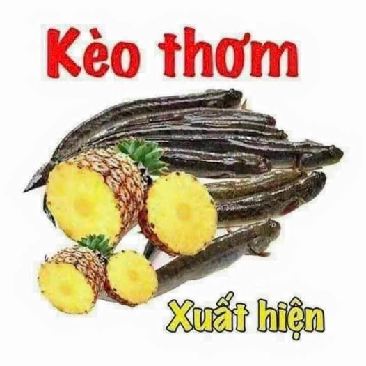 Đất Vạn Hạnh Phú Mỹ, hướng Nam mát rượi, diện tích 5m x 24m, full thổ cư, giá chỉ 2 tỷ